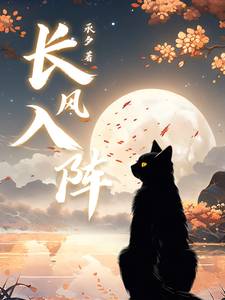 长风入阵 cover