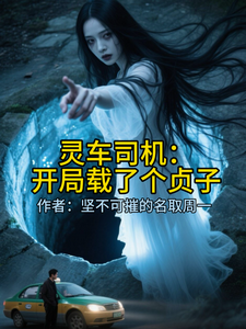 灵车司机:开局载了个贞子 cover