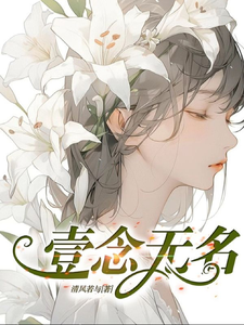 壹念无名 cover