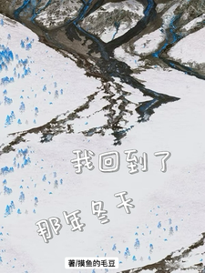 我回到了那年冬天 cover