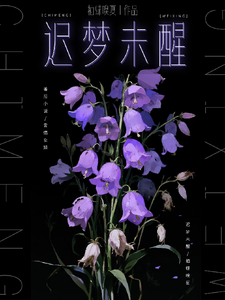 迟梦未醒 cover