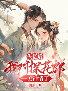 失忆后我对探花郎一见钟情了 cover