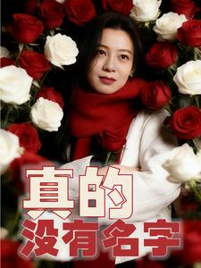 真的没有名字 cover