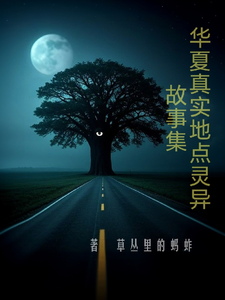 华夏真实地点灵异故事集 cover