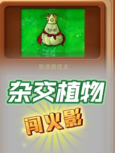 杂交植物闯火影 cover