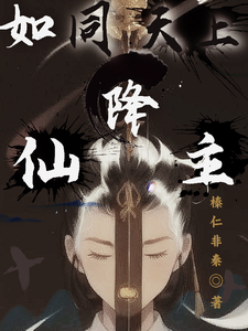 如同天上降仙主 cover