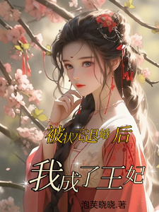 被状元退婚后，我成了王妃 cover
