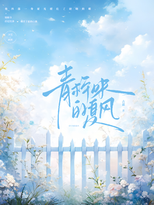 青柠味的夏风 cover