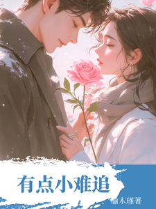 有点小难追 cover