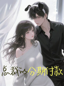总裁的分期付款 cover