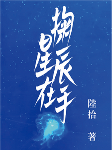 掬星辰在手 cover