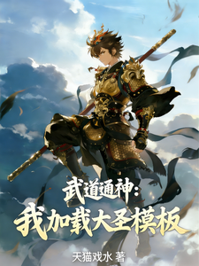 武道通神：我加载大圣模板 cover