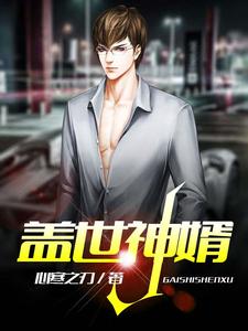 盖世神婿 cover