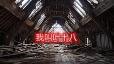 我叫叶十八 cover