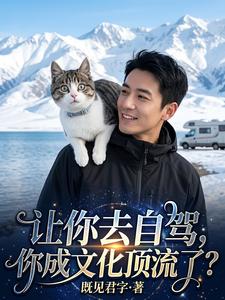I Told You to Go Road-Trip, and You Became a Top Cultural Star? cover
