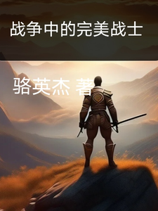 战争中的完美战士 cover