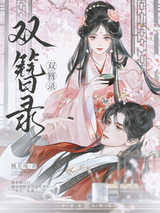 双簪录 cover