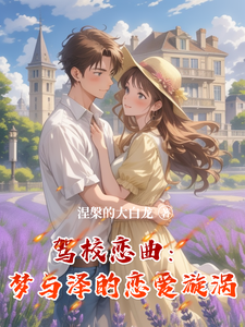 驾校恋曲：梦与泽的恋爱漩涡 cover