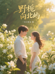 野栀向北屿 cover