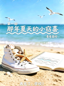 那年夏天的小窃喜 cover