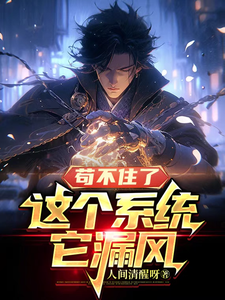 苟不住了,这个系统它漏风 cover