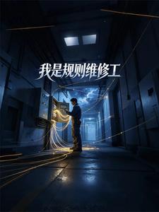 我是规则维修工 cover
