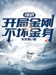 综武:开局金刚不坏金身 cover
