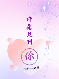 许愿见到你 cover