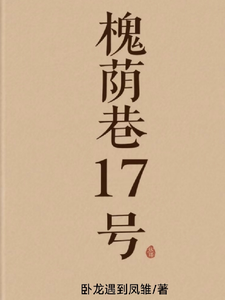 槐荫巷17号 cover