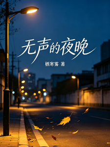 无声的夜晚 cover