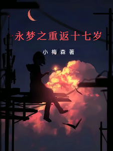 永梦之重返十七岁 cover