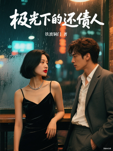 极光下的还债人 cover