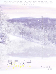 眉目成书 cover