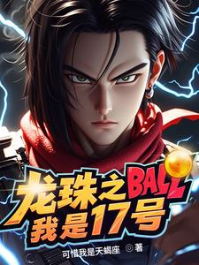 龙珠之我是17号！ cover