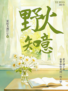 野火知意1314 cover