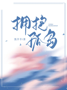 拥抱孤岛 cover