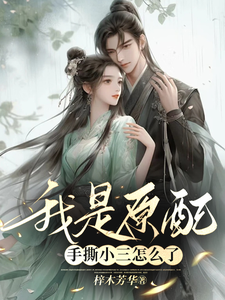 我是原配，手撕小三怎么了 cover