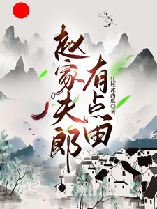 赵家夫郎有点田 cover