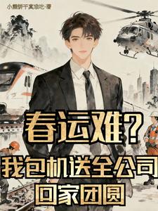 春运难?我包机送全公司回家团圆 cover