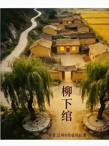 Liu Xia Wan cover