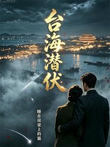台海潜伏 cover