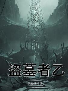 盗墓者乙 cover
