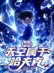 柯南：天空属于哈夫克 cover