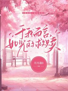 于我而言，如光的救赎 cover