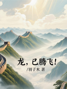 The Dragon Has Soared! cover