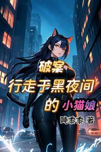 破案：行走于黑夜间的小猫娘 cover