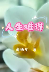 人生难得 cover