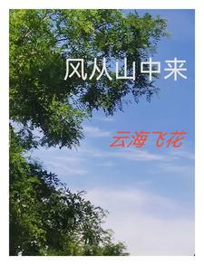 风从山中来 cover