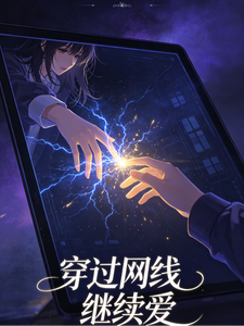 穿过网线继续爱 cover