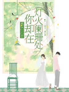 蓦然回首你却在灯火阑珊处 cover